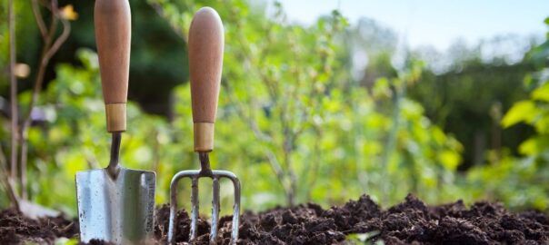 wypożyczalnia sprzętu budowlanego rzeszów